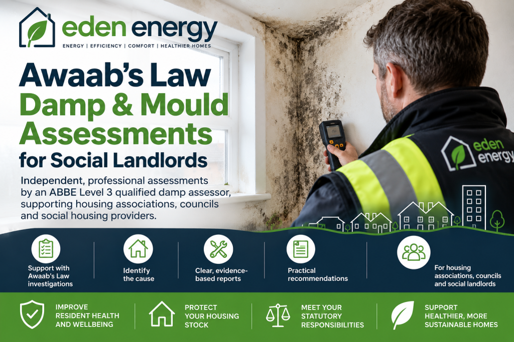 awaab's law damp & mould assessments